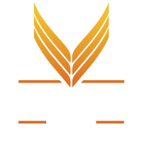 Vasavi Group